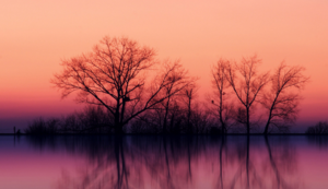 热那亚客场遭遇翻盘，保级前景堪忧