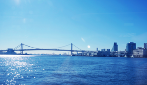 佛罗伦萨引援大手笔，打造新赛季强队阵容