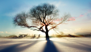 欧洲足球国家联赛战局逐渐明朗