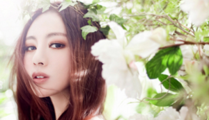 柏林赫塔迎战多特蒙德，谁能占尽优势？